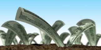 Audi-fejlesztés – Indul a logisztikai park pályáztatása