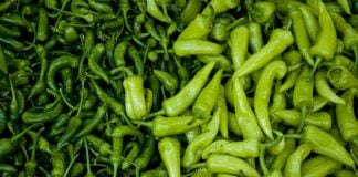 A Nagybani Piac részesedése 40 százalékos a zöldség-gyümölcs kiskereskedelemben