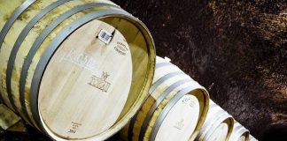 Beszerzői közösség alakult a tokaji borvidéken