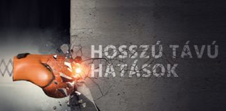 29. MLBKT Kongresszus