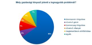 Az élelmiszeráremelkedés az életszínvonal-csökkenés fő okozója